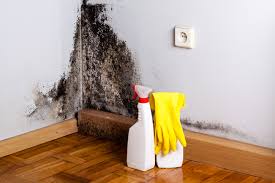 Asbestos and Lead Testing During Mold Inspection